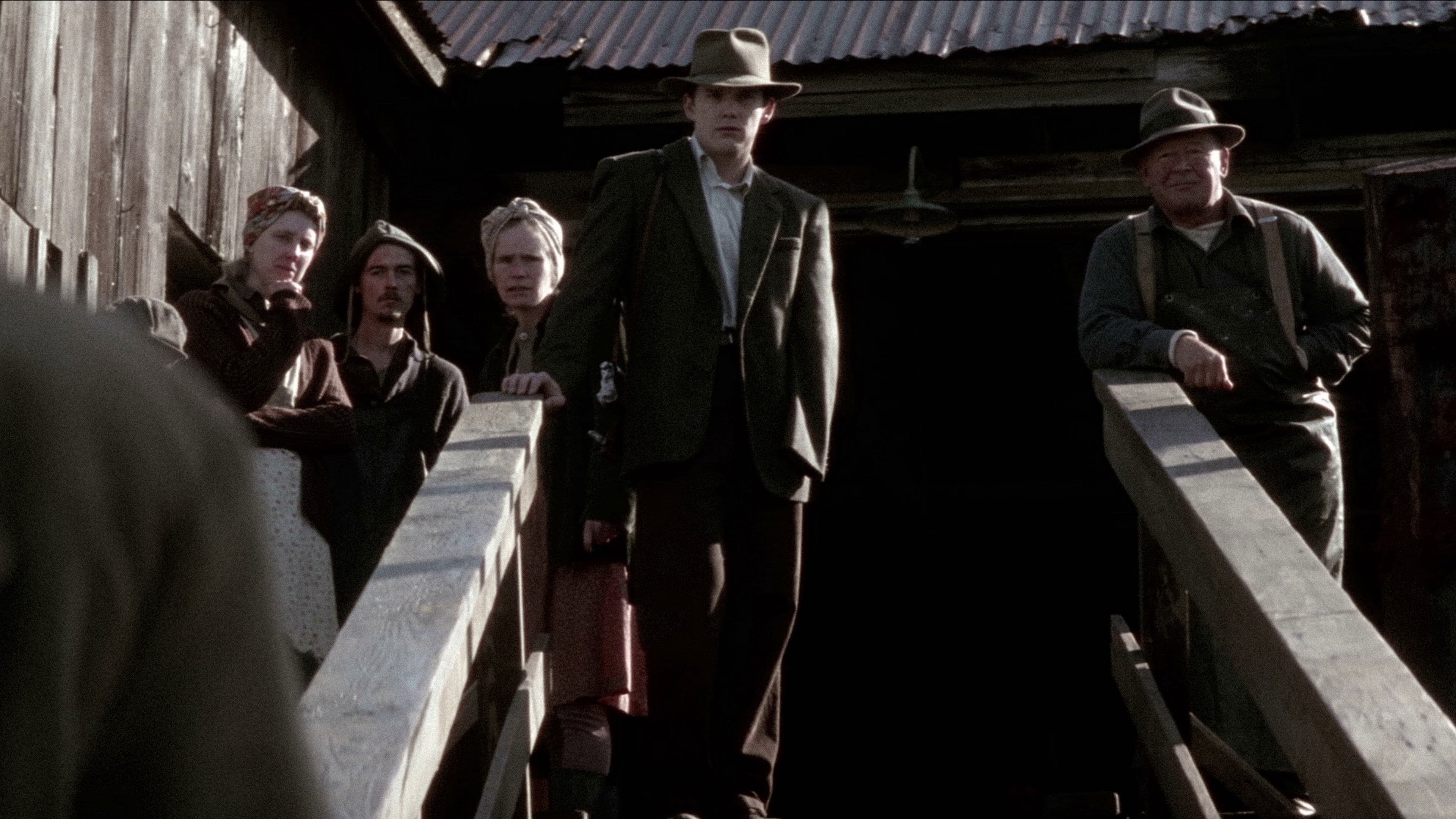 Schnee, der auf Zedern fällt