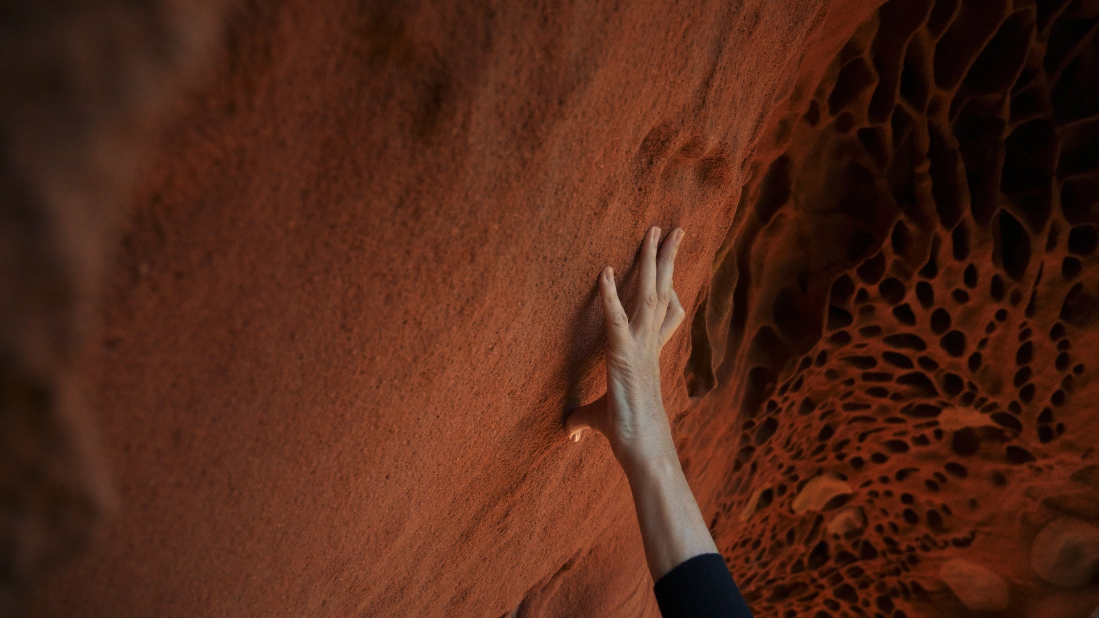 Hondalea: abismo marino