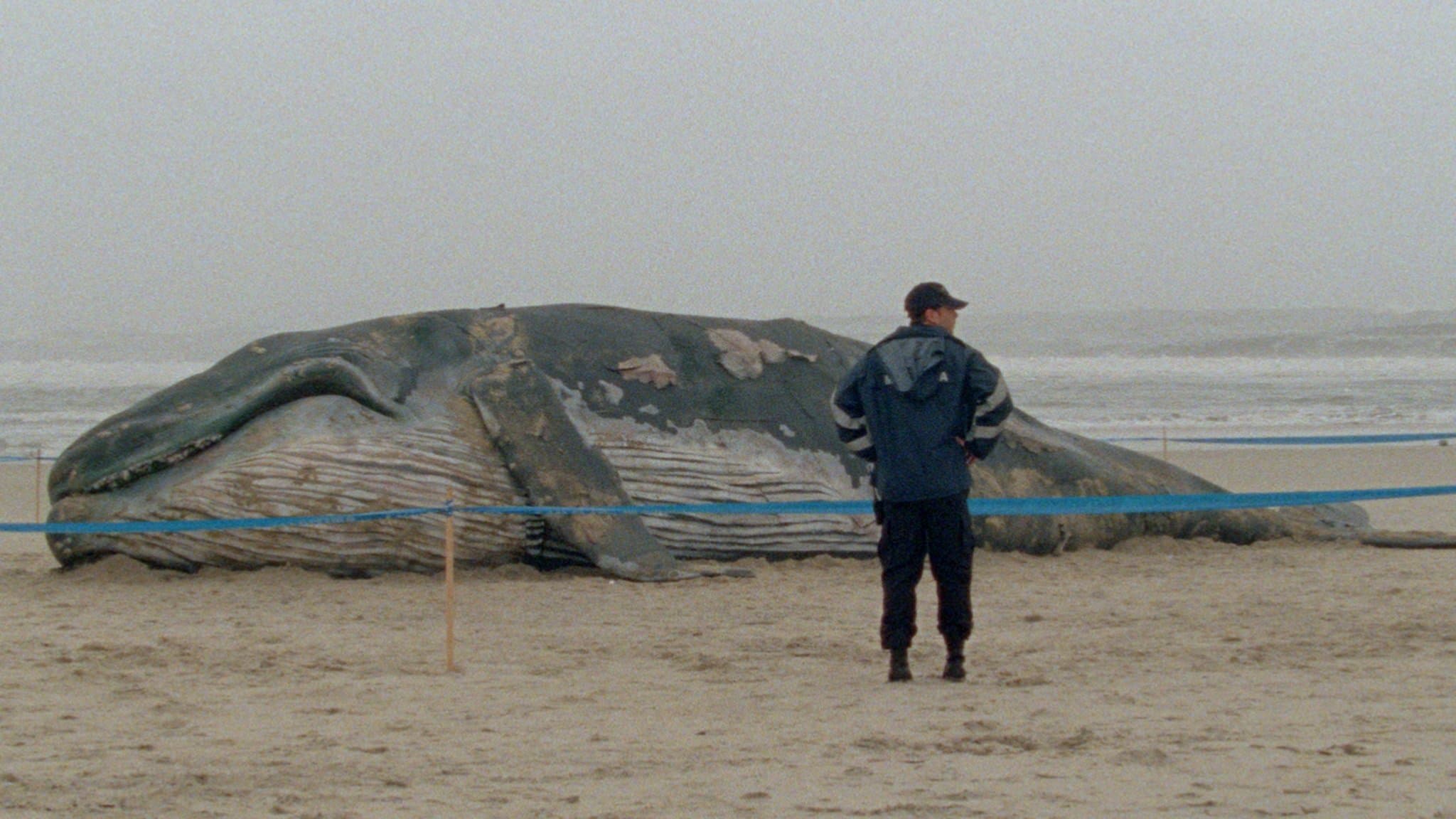 1001 Nacht: Teil 1: Der Ruhelose