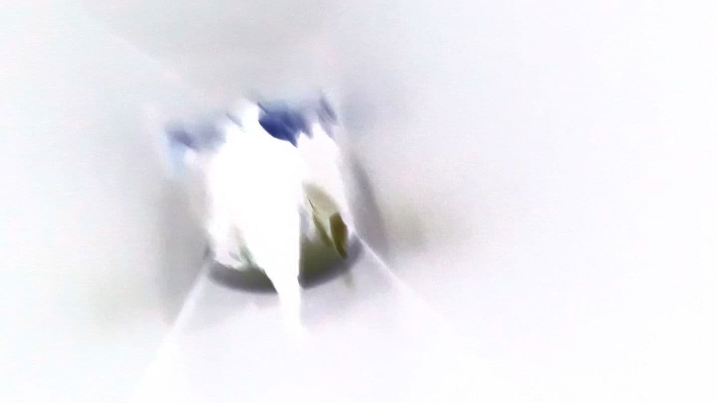 세상은 그렇게 끝난다.