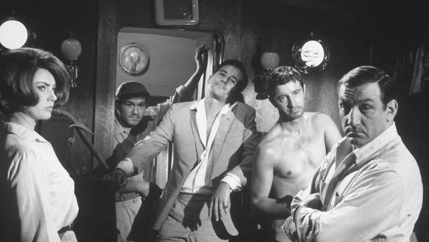 Schieß, solange du kannst