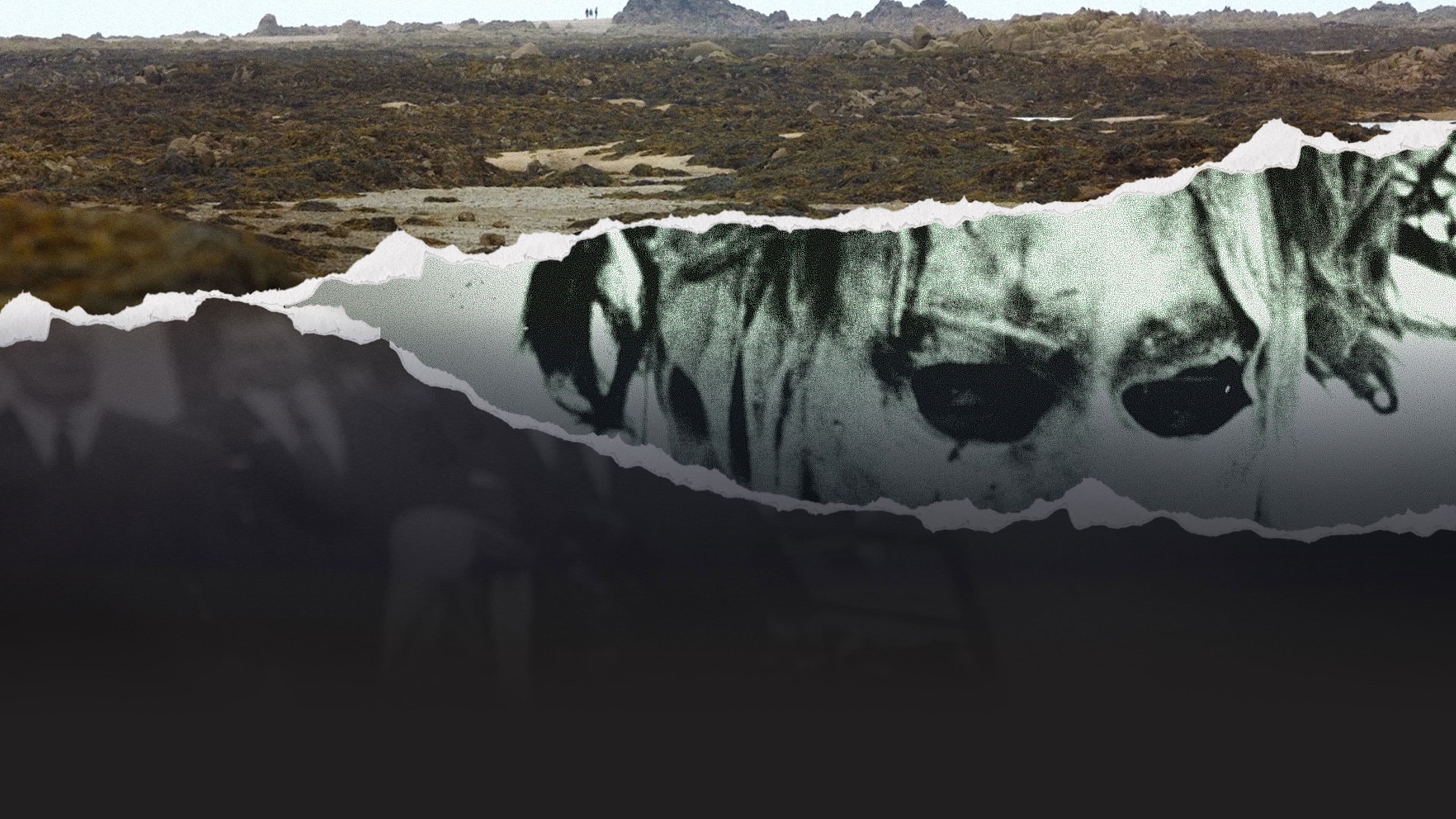 The Jersey Way: Inside the Island's Scandals