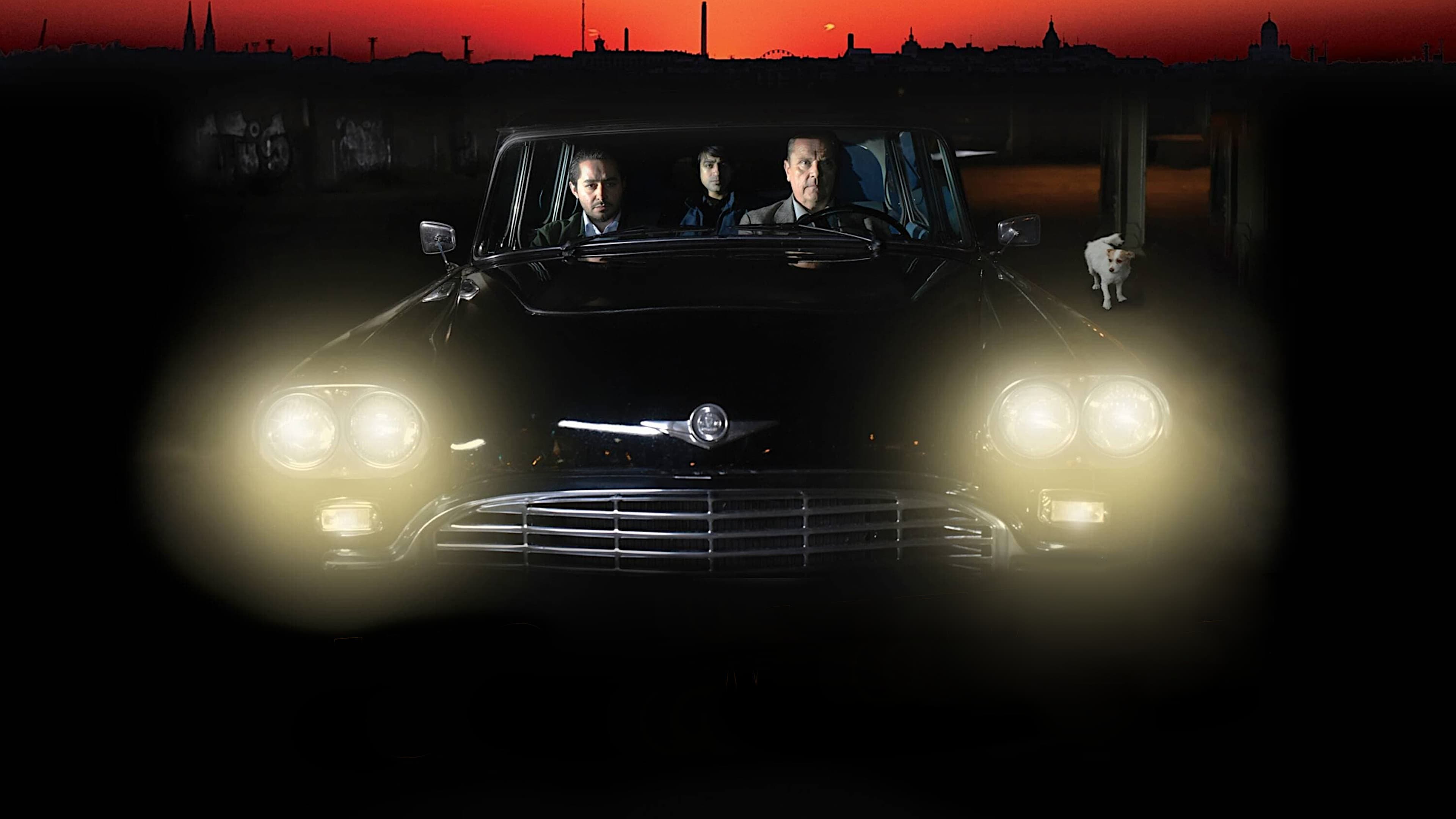 Die andere Seite der Hoffnung