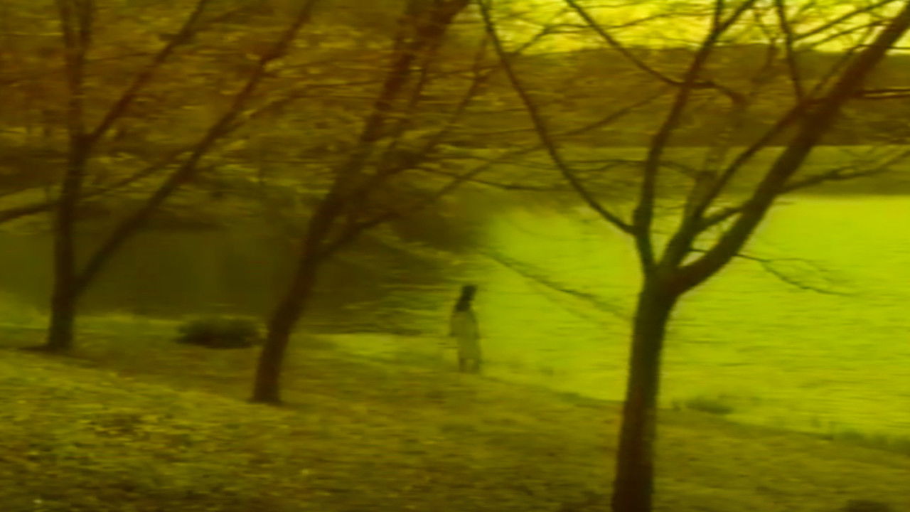 官能の森の美女