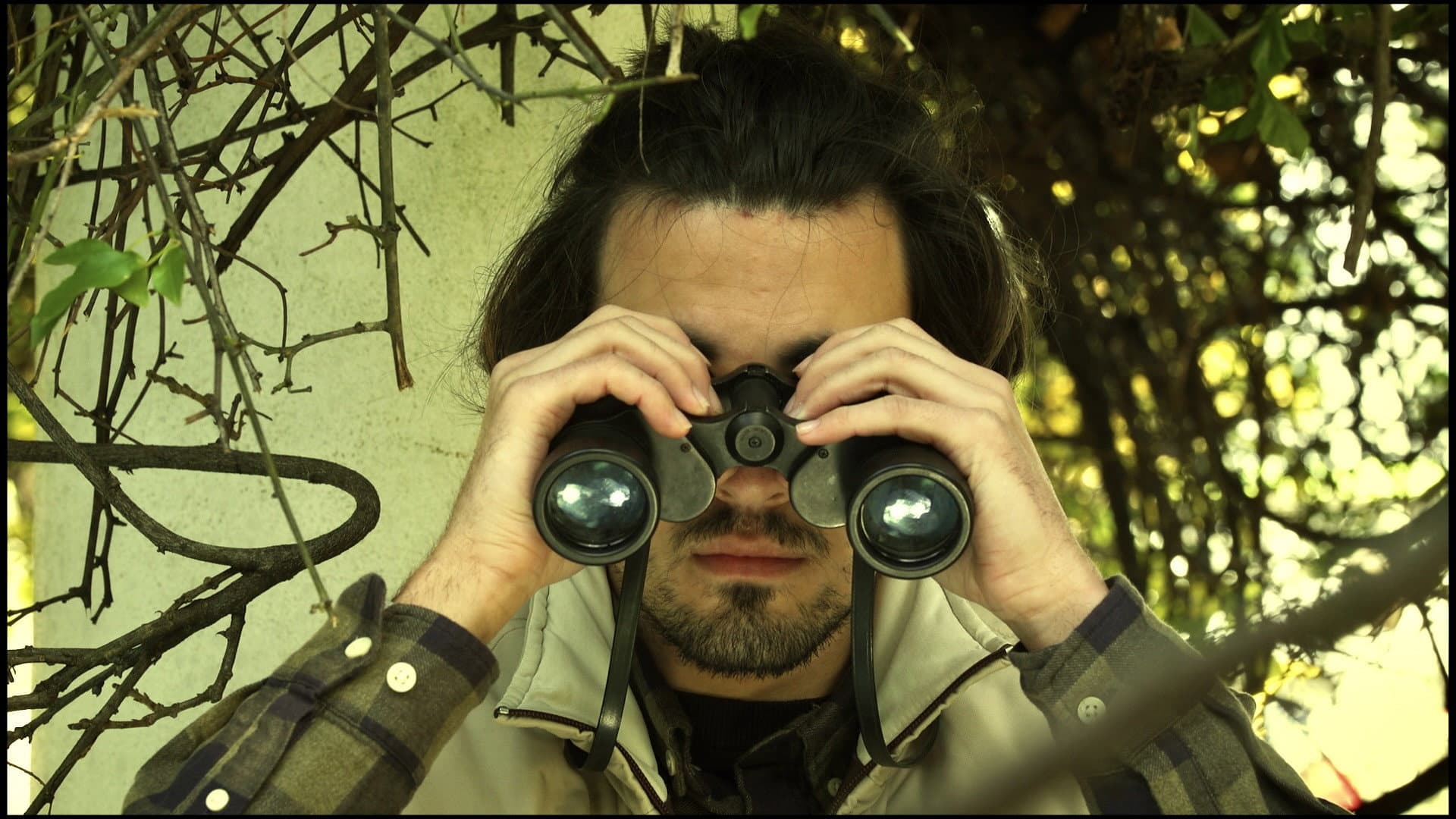 O Observador de Aves