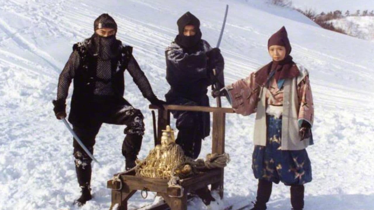 御金蔵破り3 家康の首