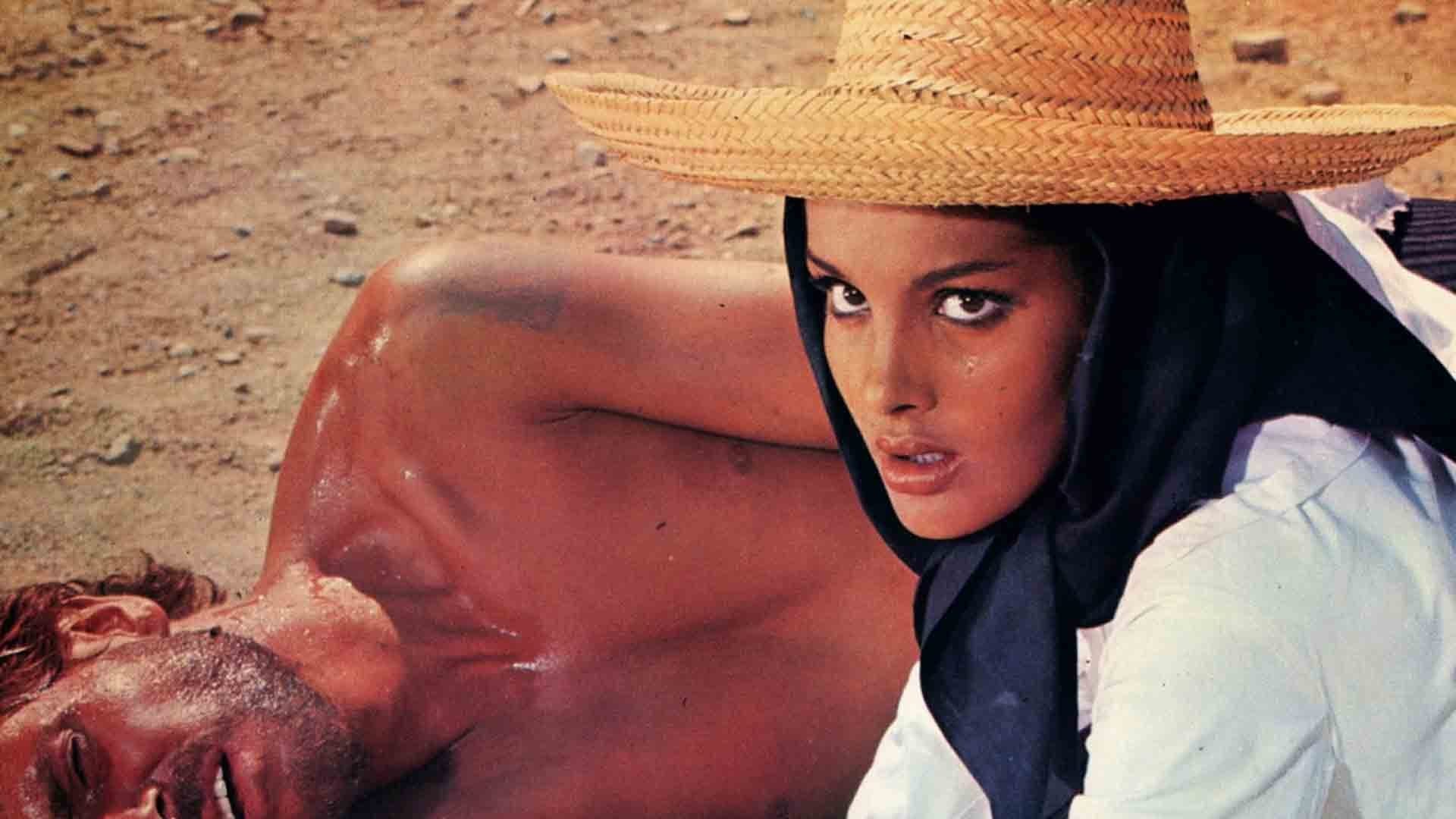 Die 7 Pistolen des McGregor