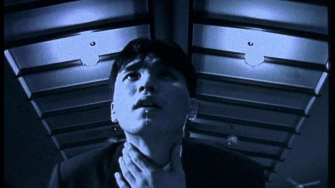 그의 진실이 전진한다