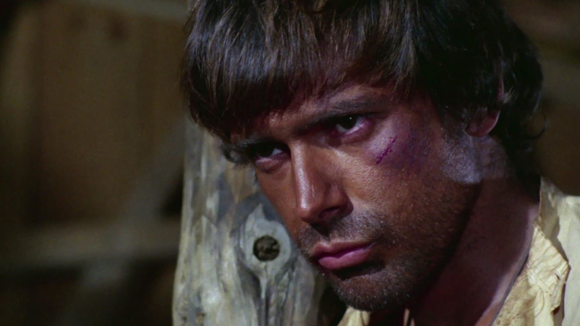 Ohne Dollar keinen Sarg