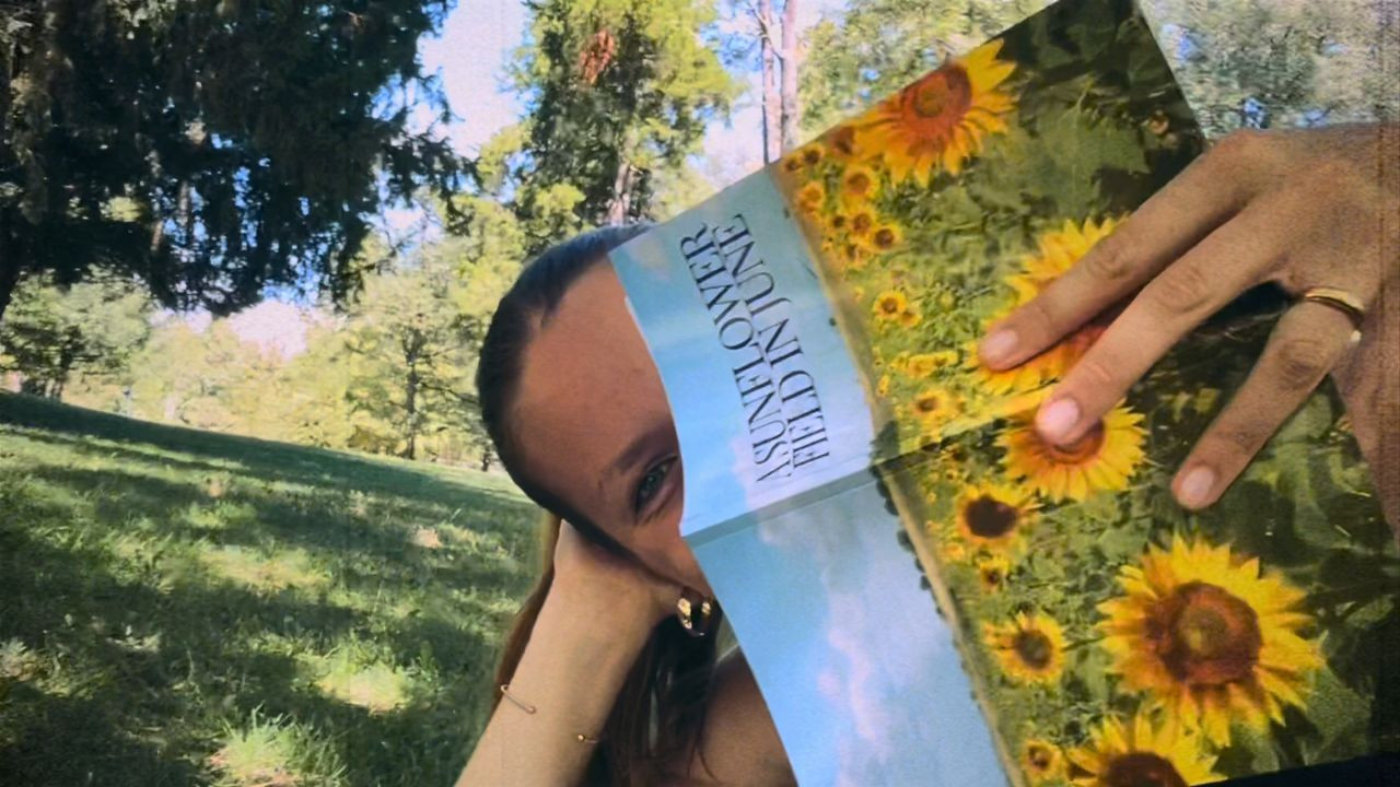 A Sunflower Field in June