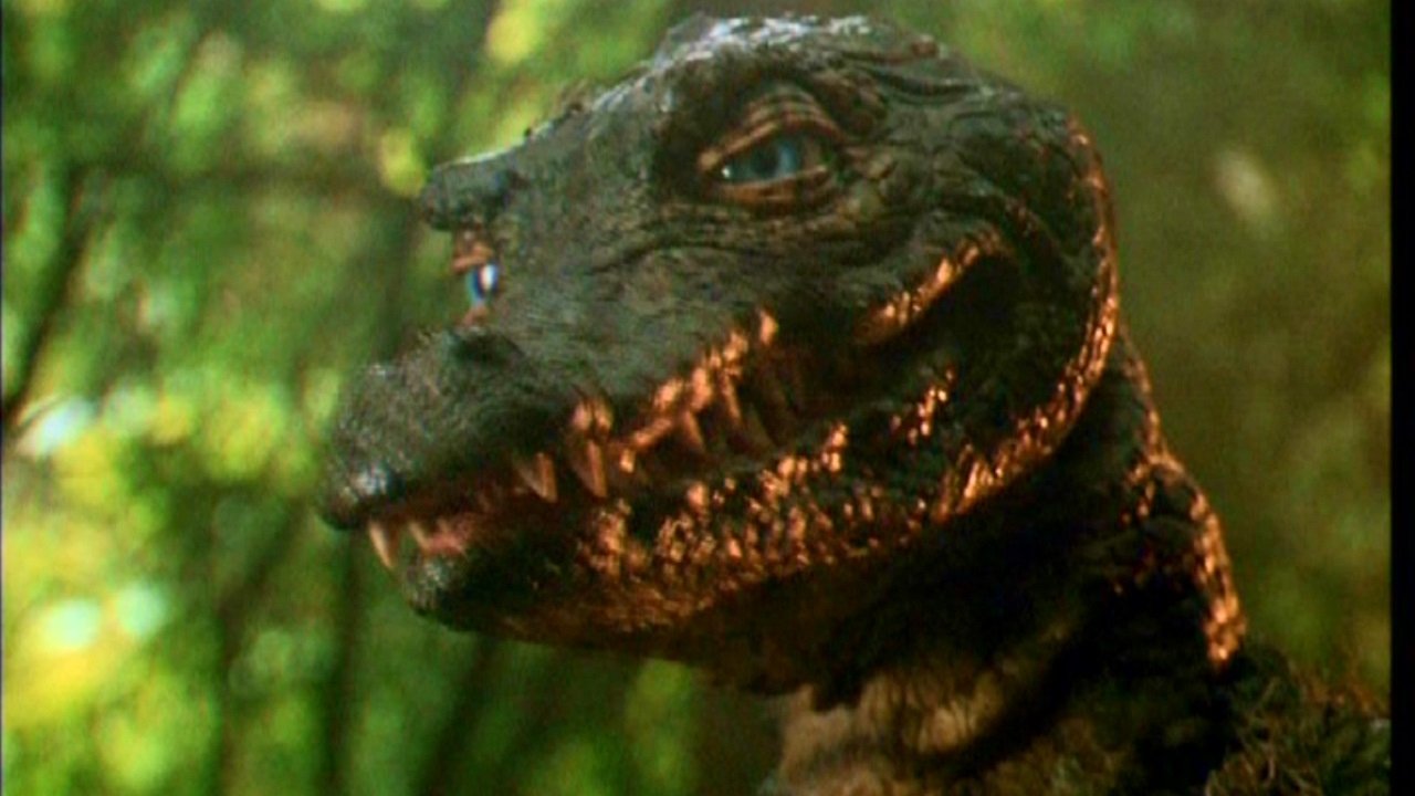 Die Legende von Gatorface