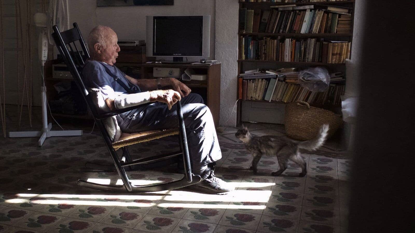 Rächer des Holocaust