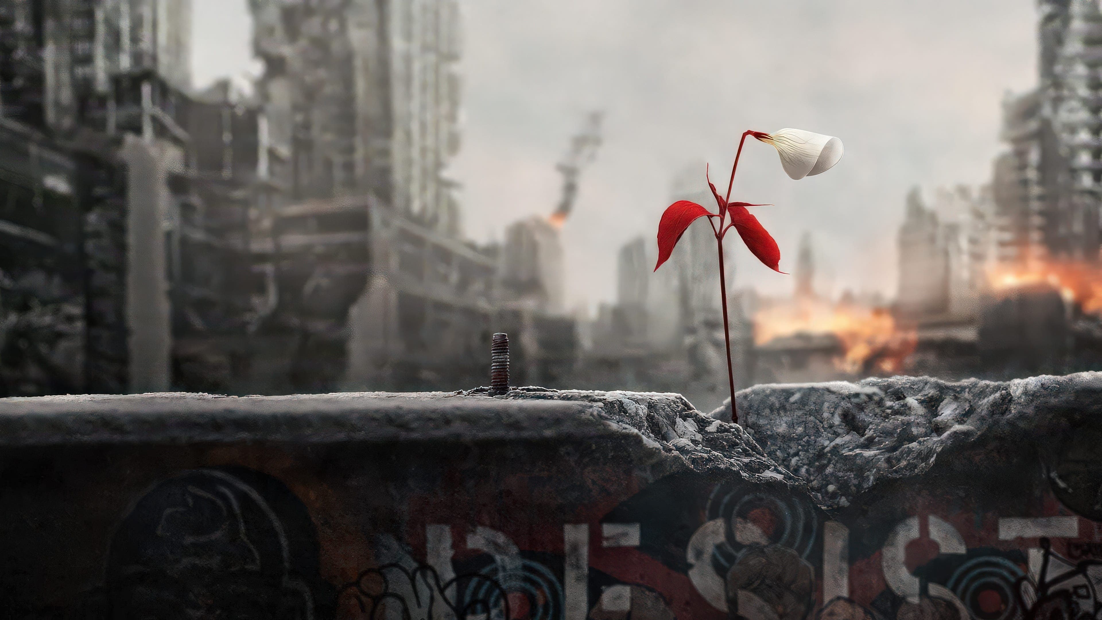 The Handmaid's Tale - Der Report der Magd