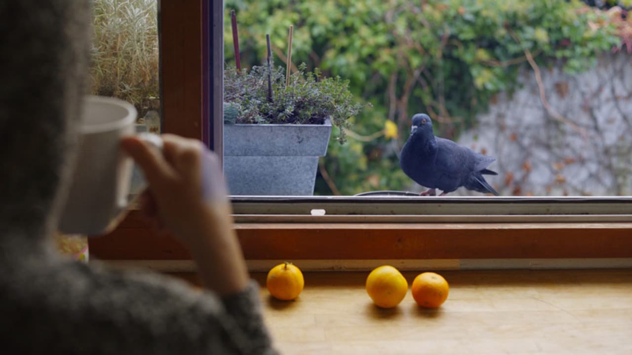 Meine wilden Nachbarn