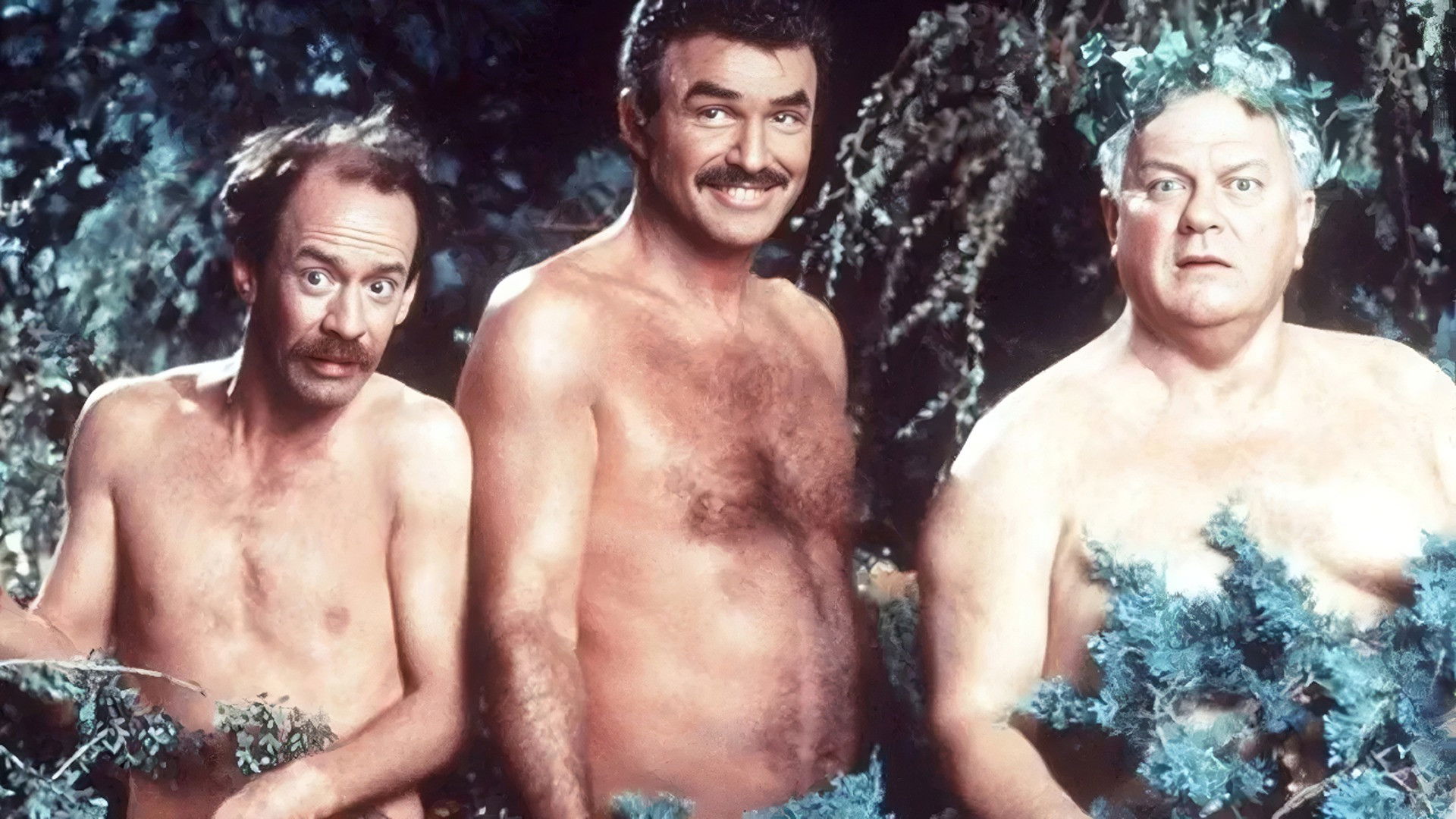 Daddy schafft uns alle