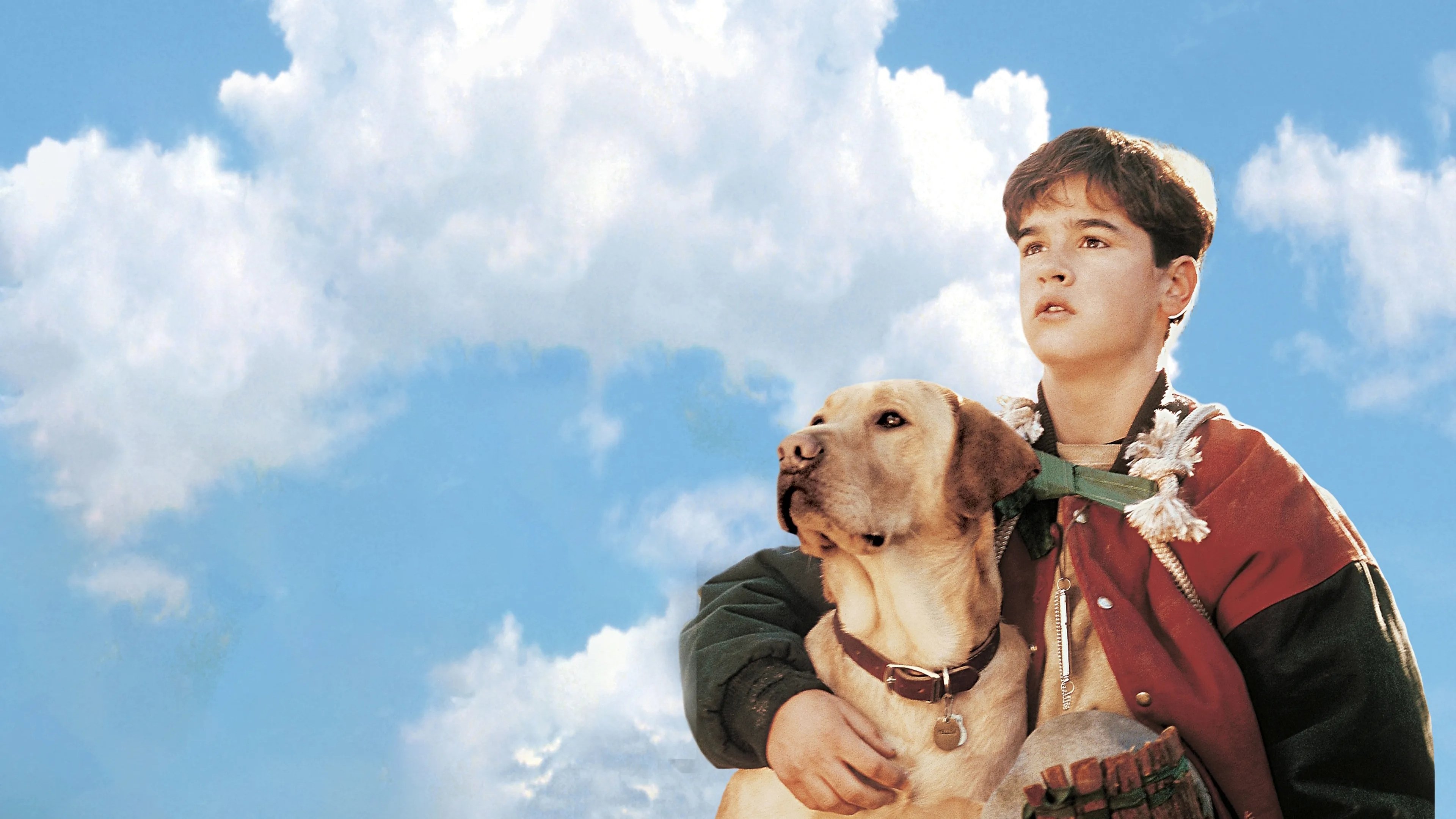 Gefährliche Wildnis