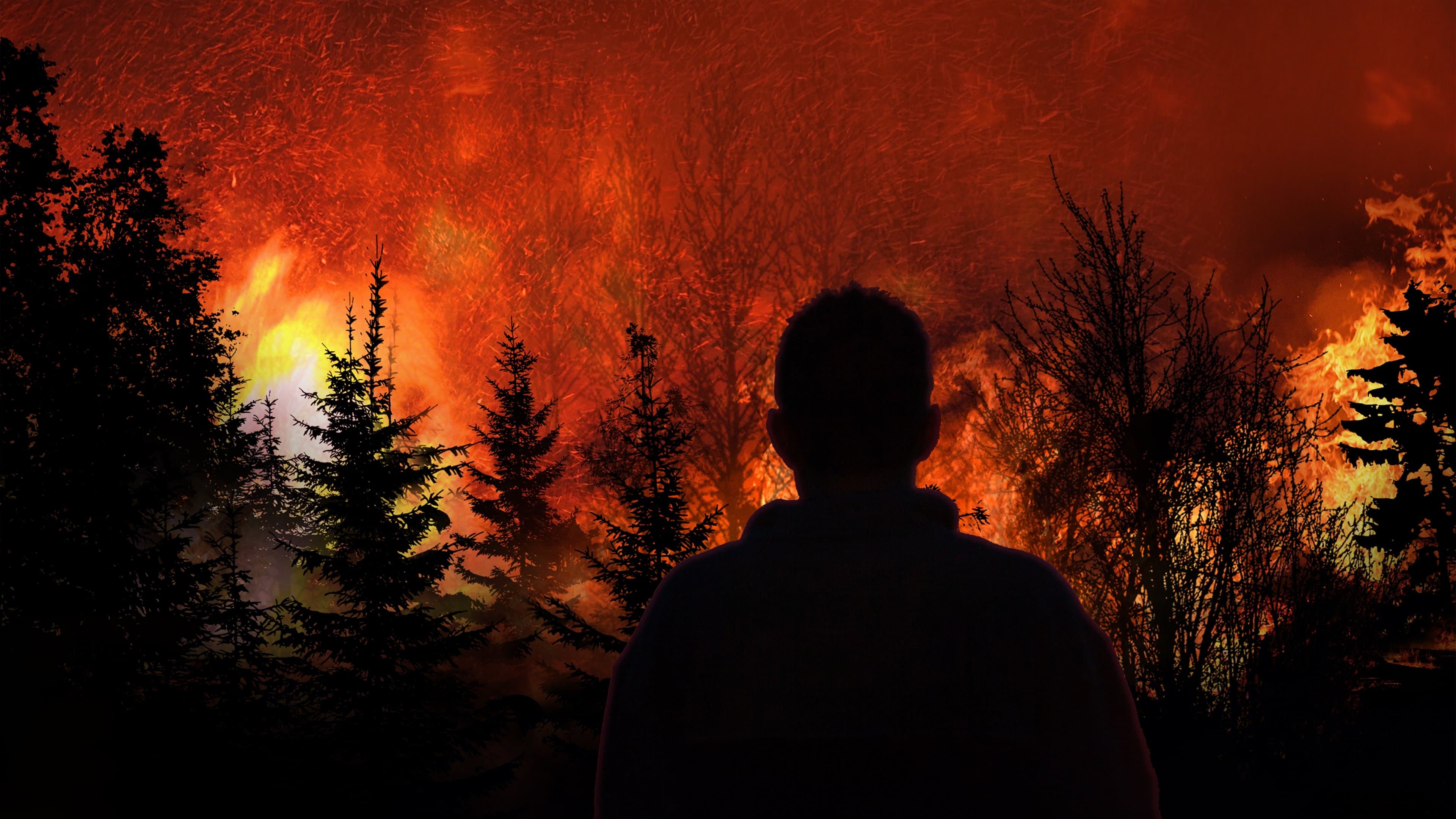 Im Angesicht der Katastrophe