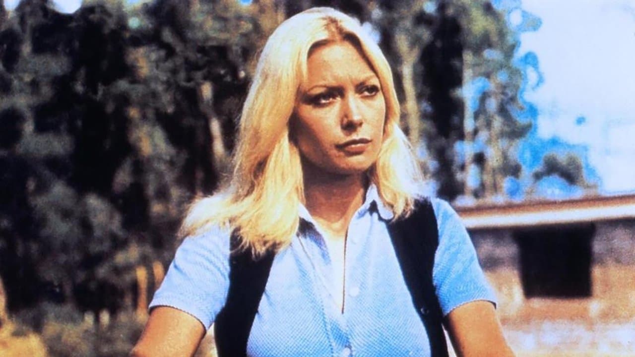 Allein gegen das Gesetz