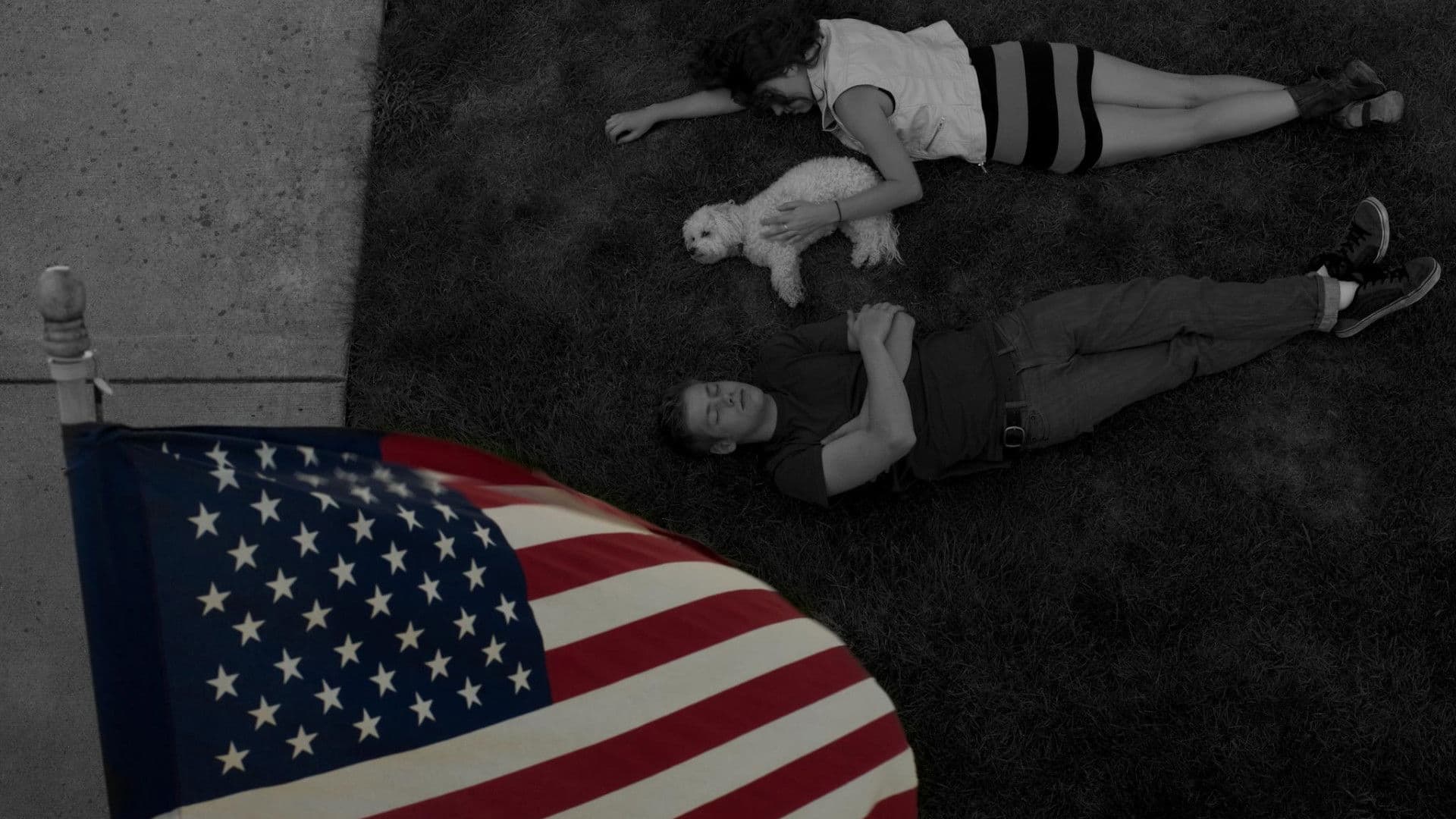 Deer in the Headlight