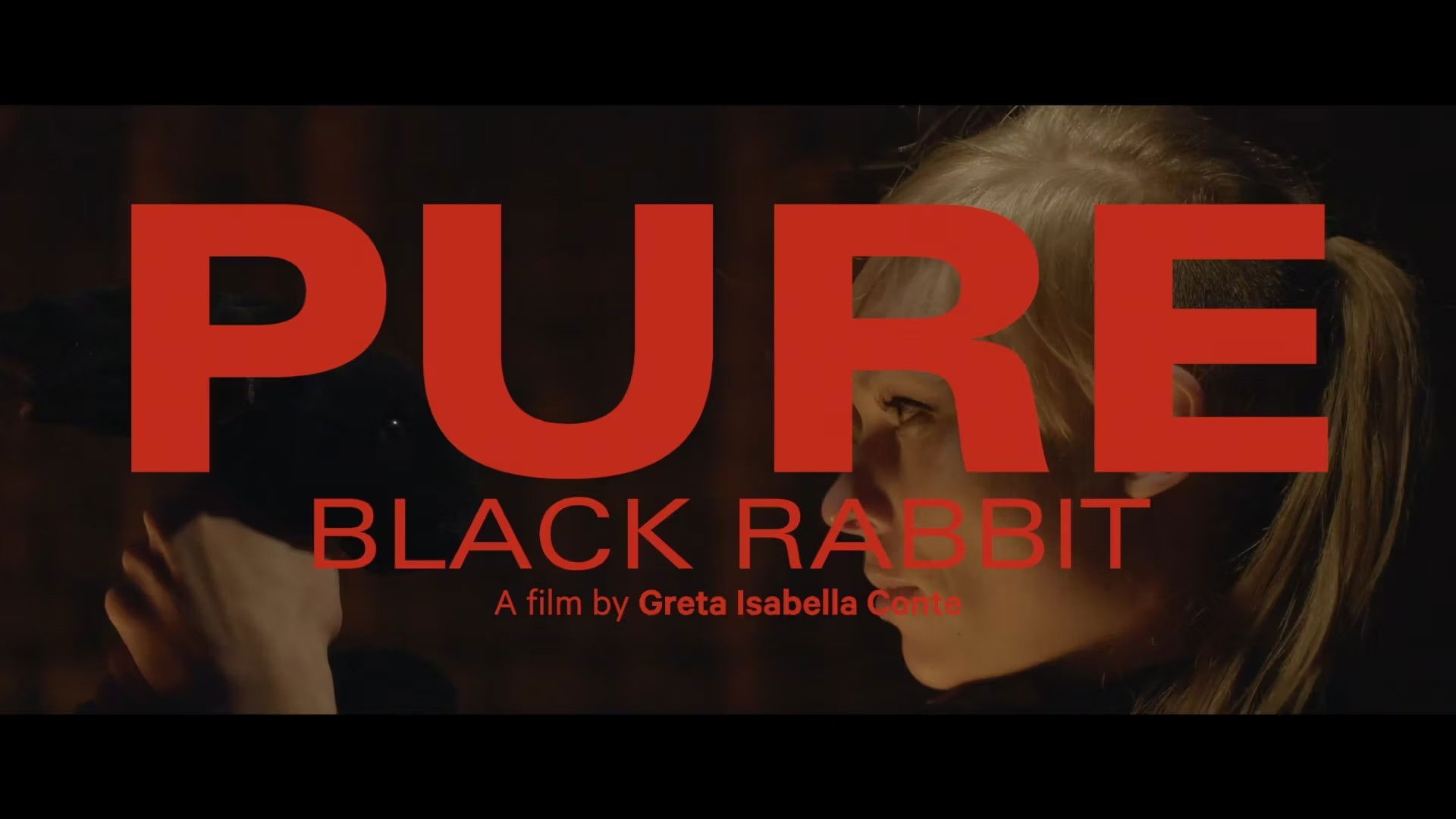 Pure - Black Rabbit