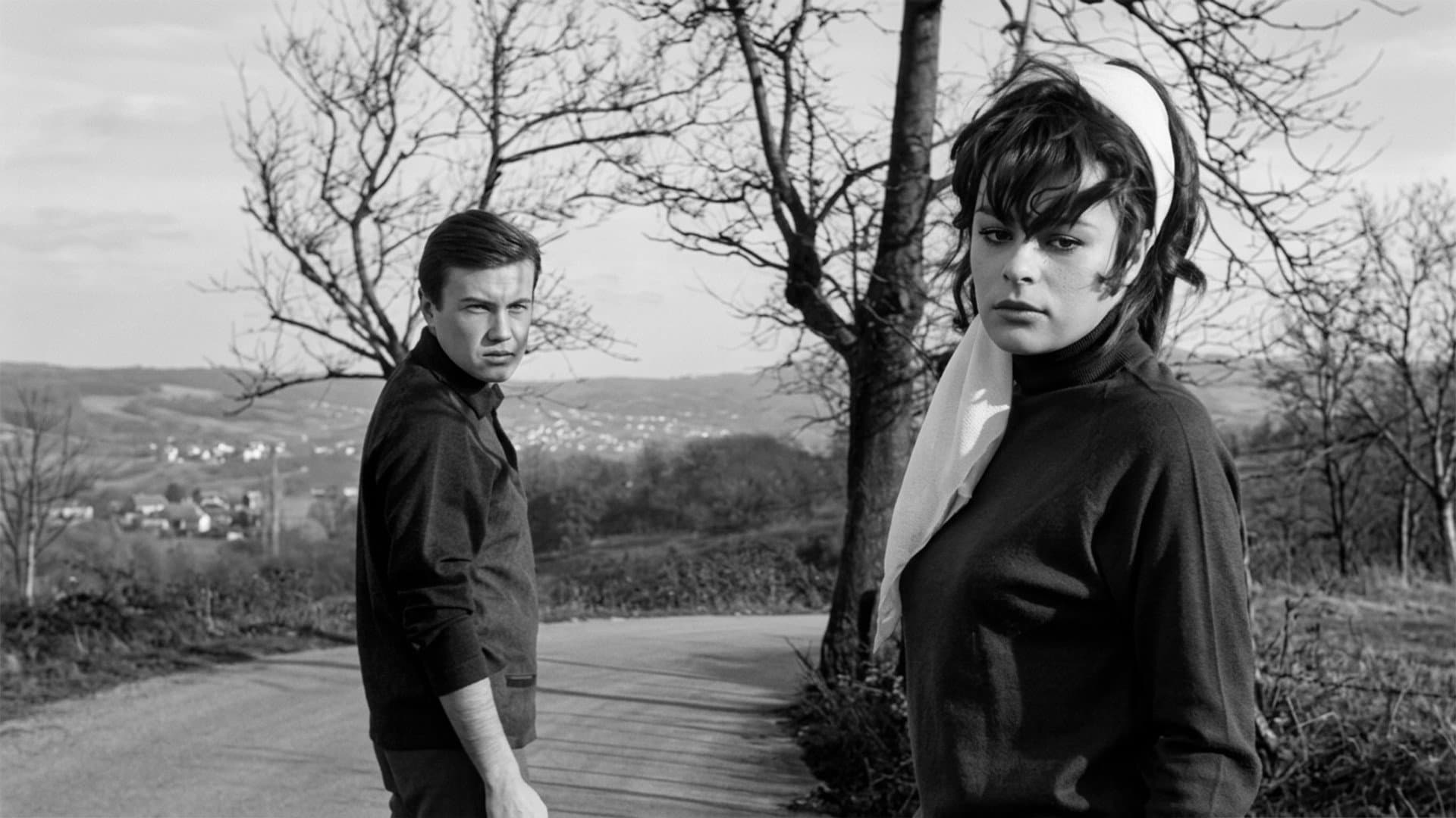 Yıldızların Altında