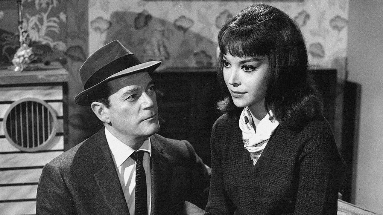 Eddie - Miezen und Moneten