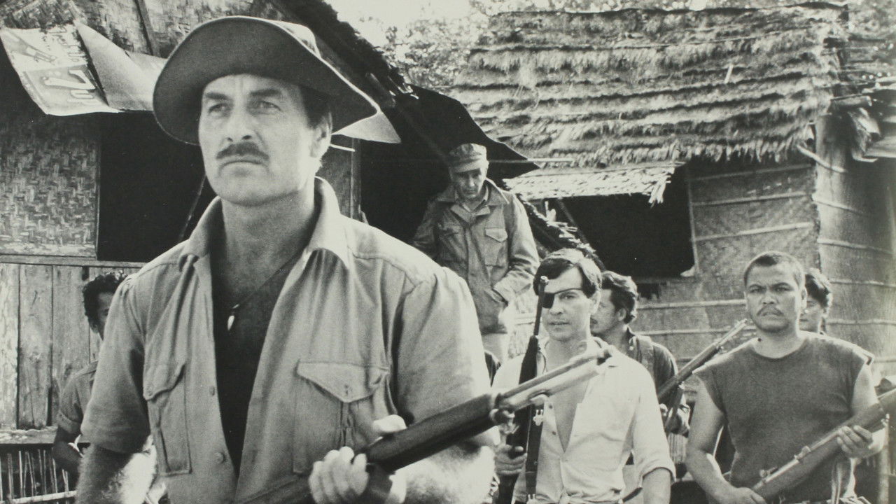 ...die im Staub verbluten