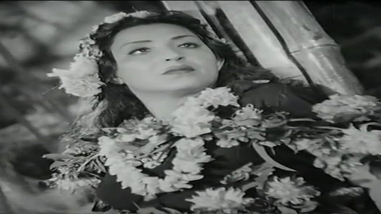 وادي النجوم