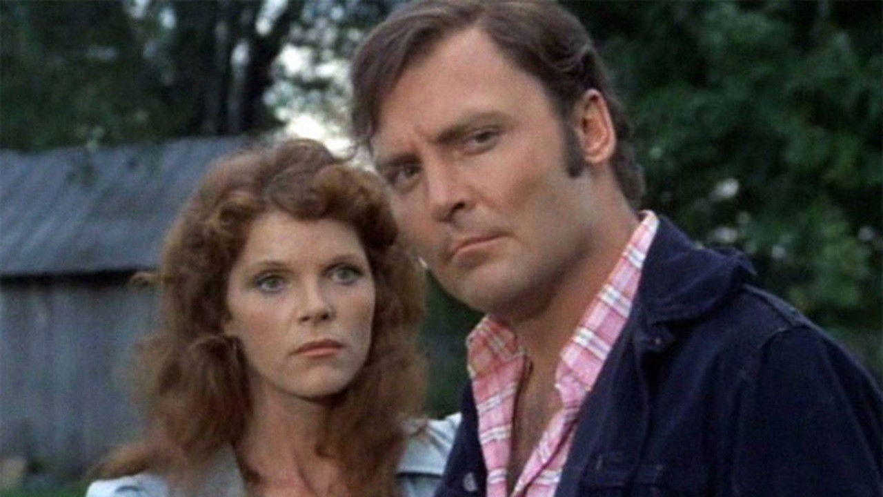 All die netten Fremden