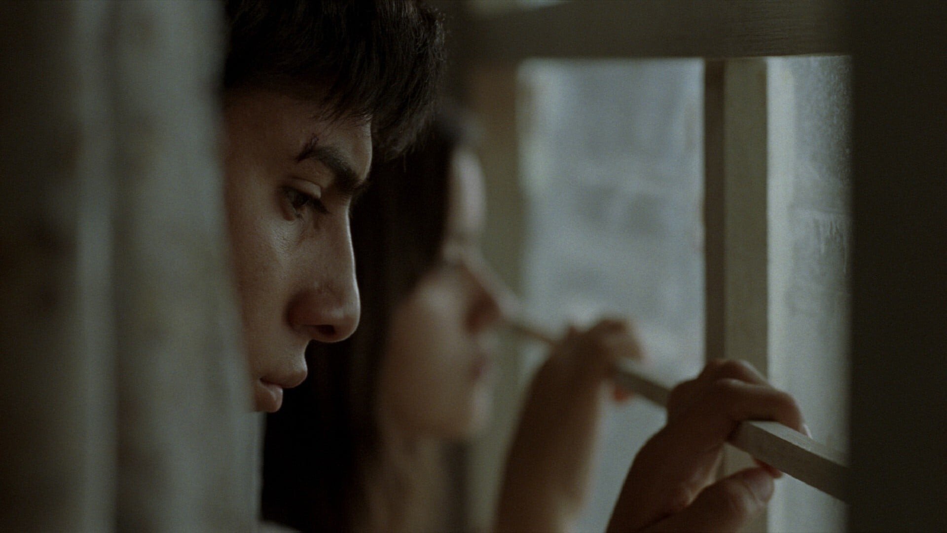 Wir sind was wir sind