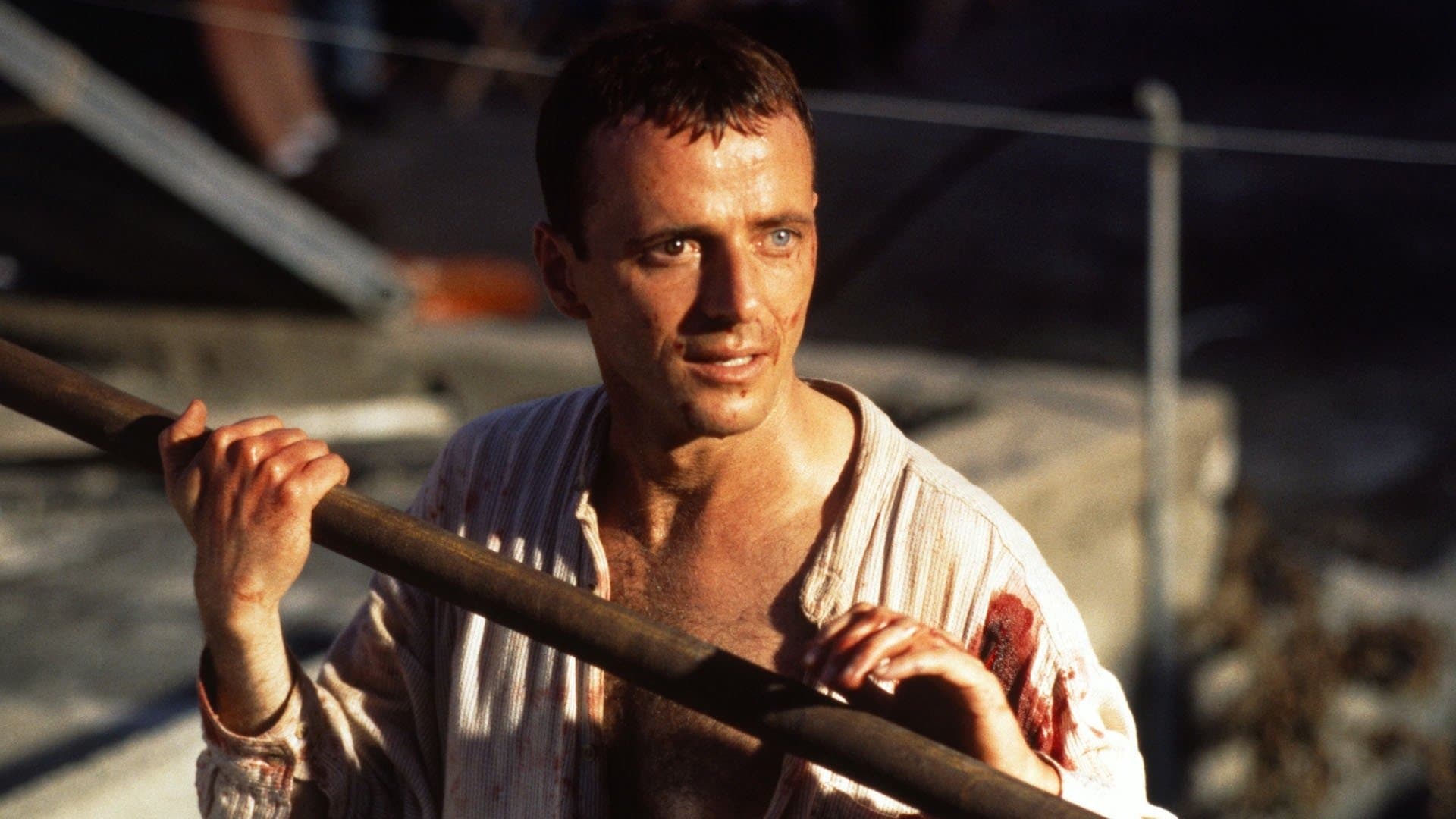 The Assignment - Der Auftrag