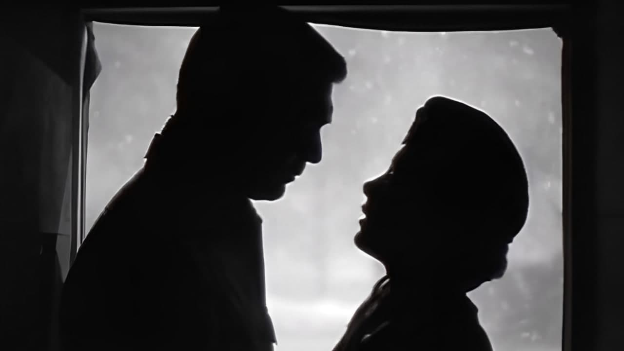 Dr. Johnsons Heimkehr