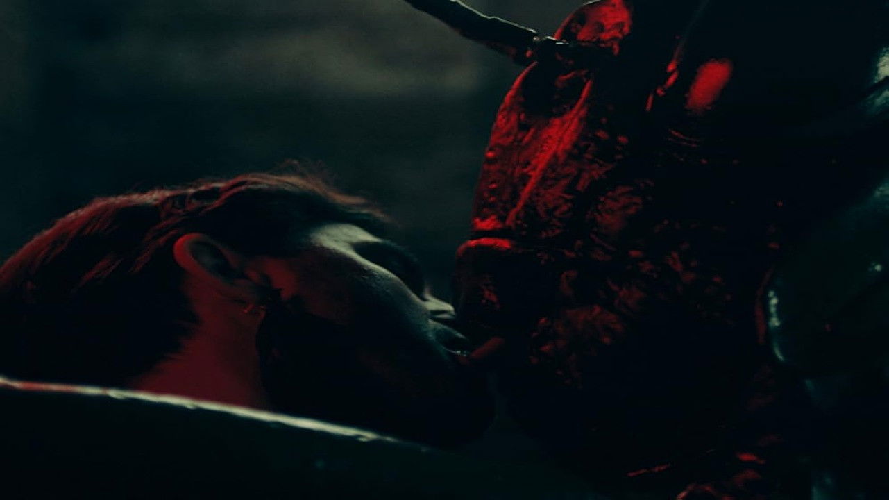 Der Kuss des Grashüpfers