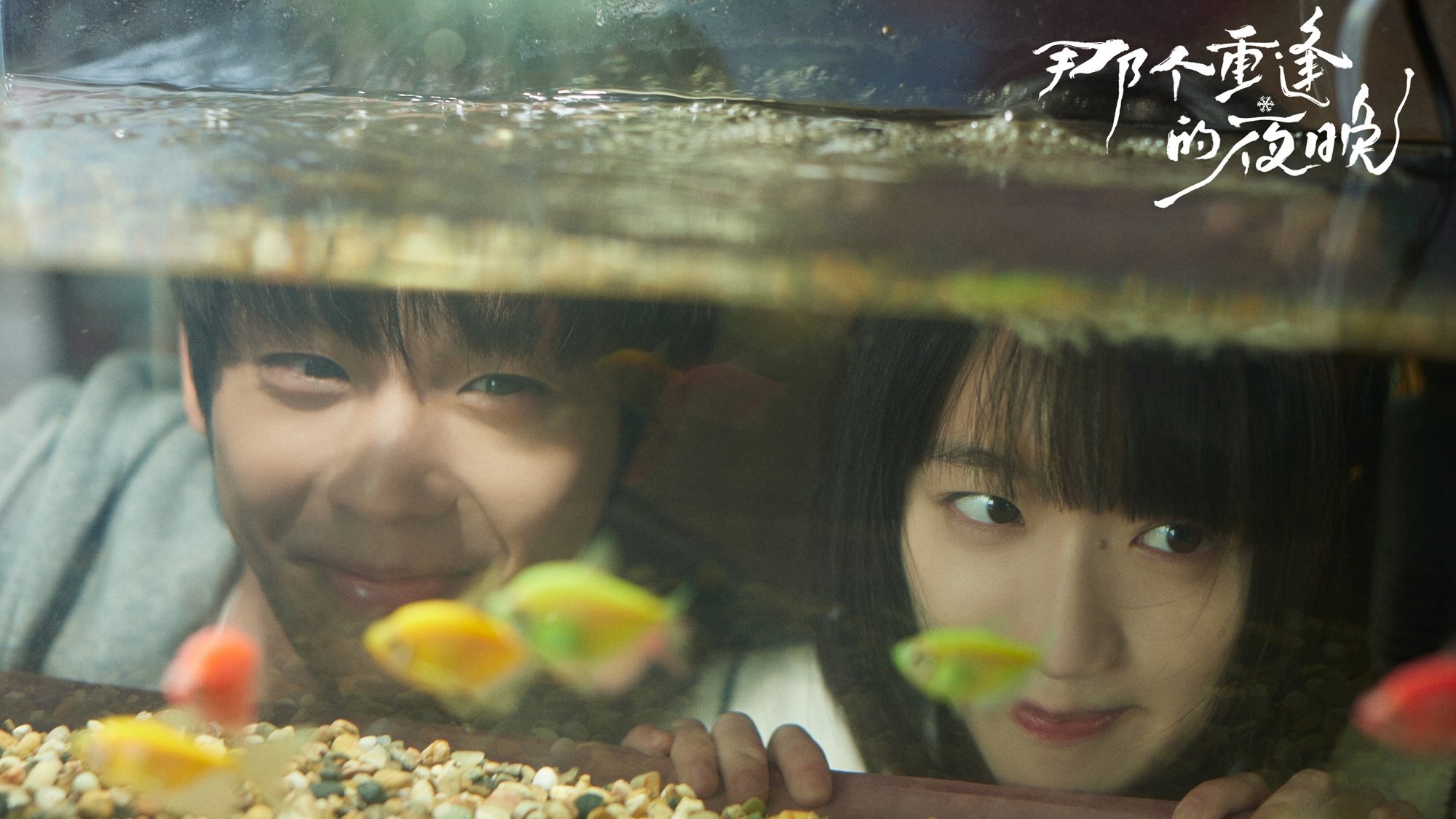 那个重逢的夜晚