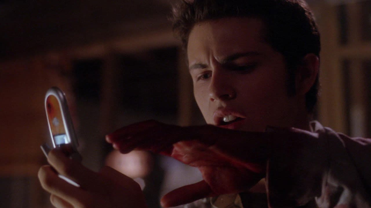 The V Word - Blutrausch der Vampire