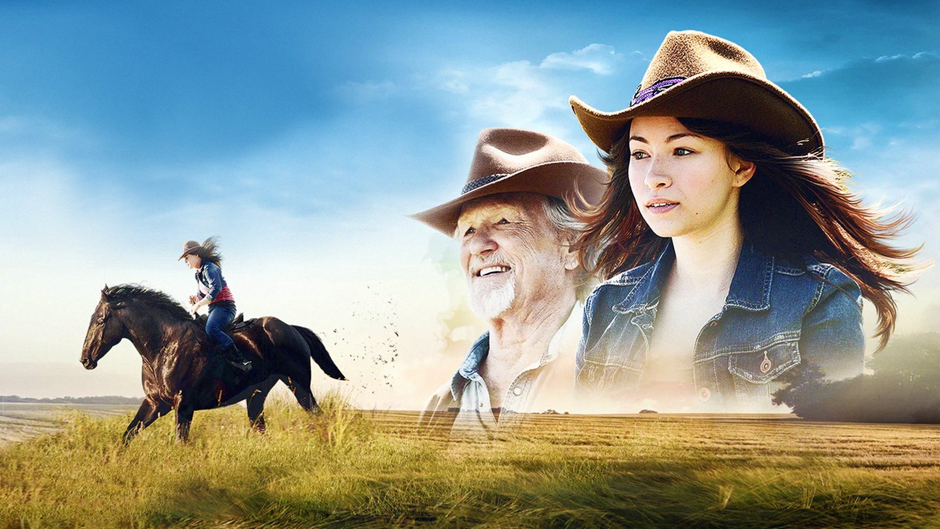 Midnight Stallion - Der König der Pferde