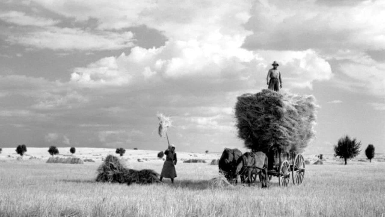 Το φωτογραφείο του μπαμπά μου