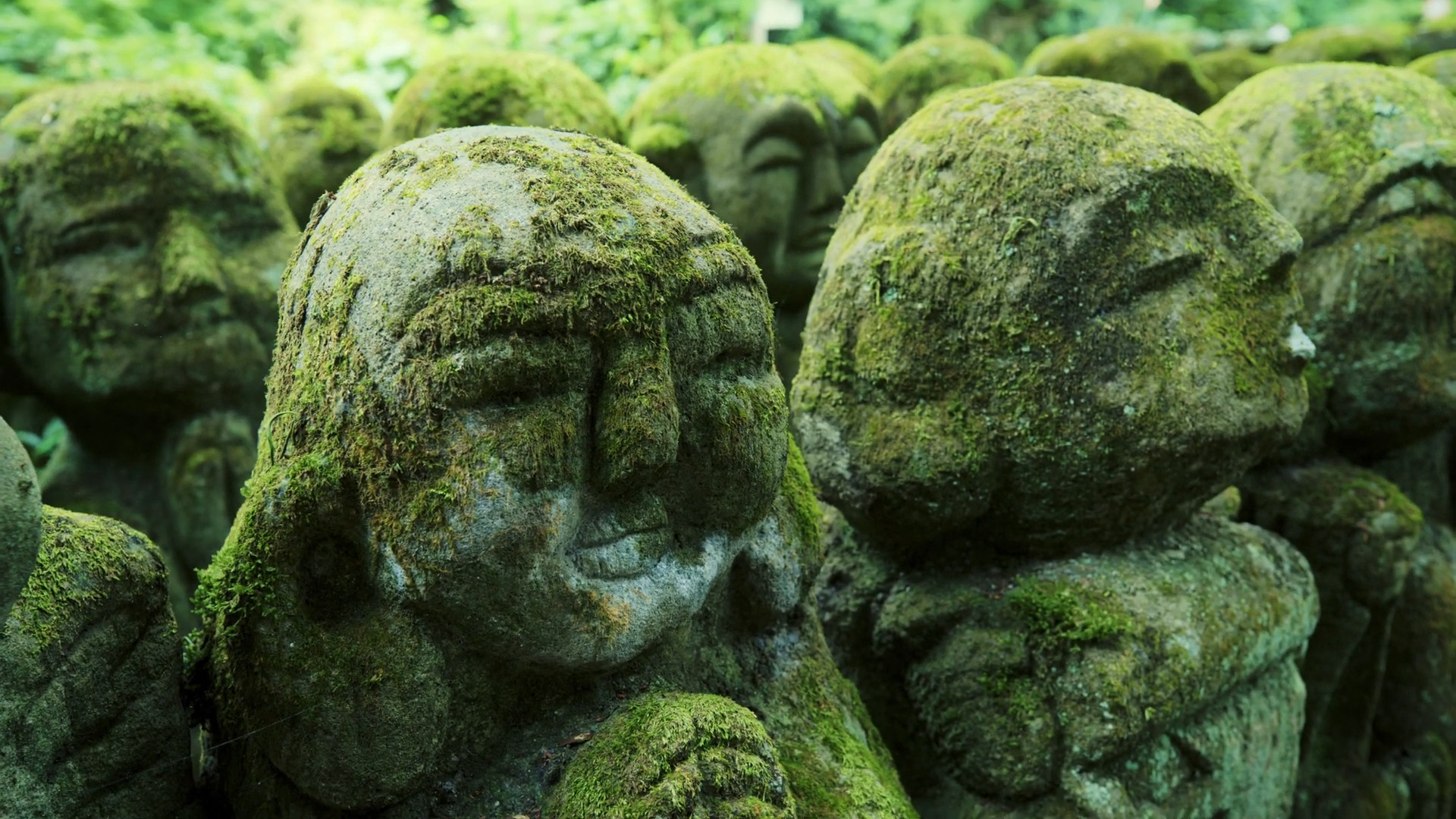 Moose, unscheinbare Helden