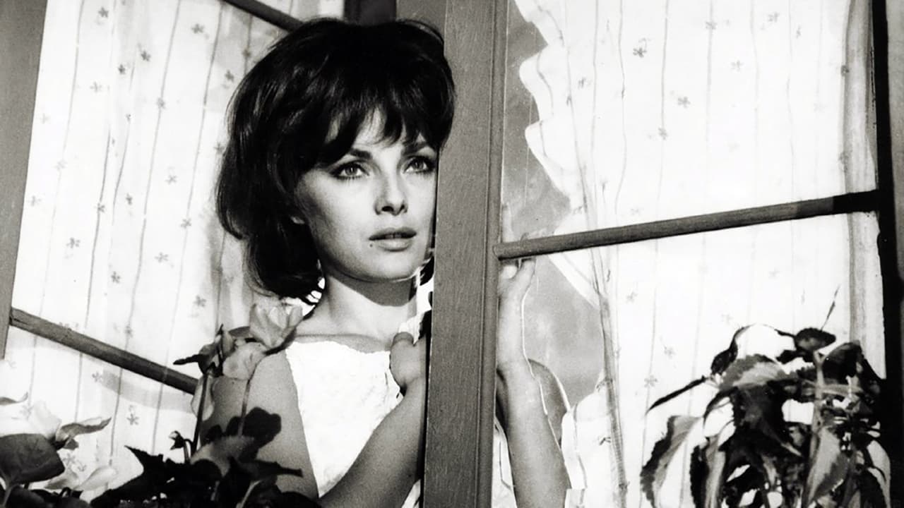 Aber, aber, meine Herren…