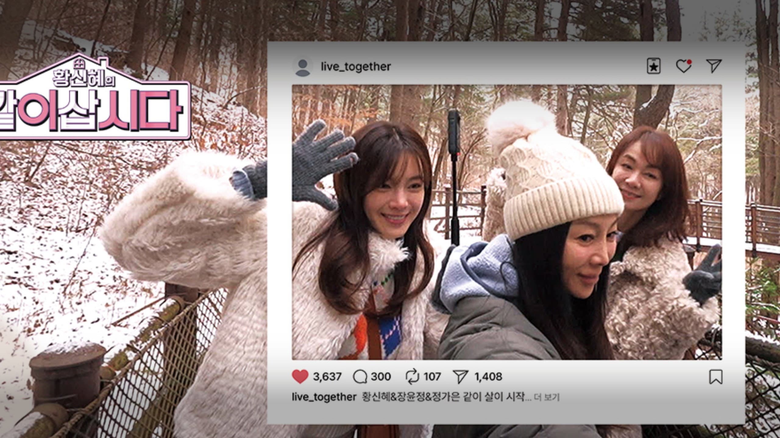 황신혜의 같이 삽시다