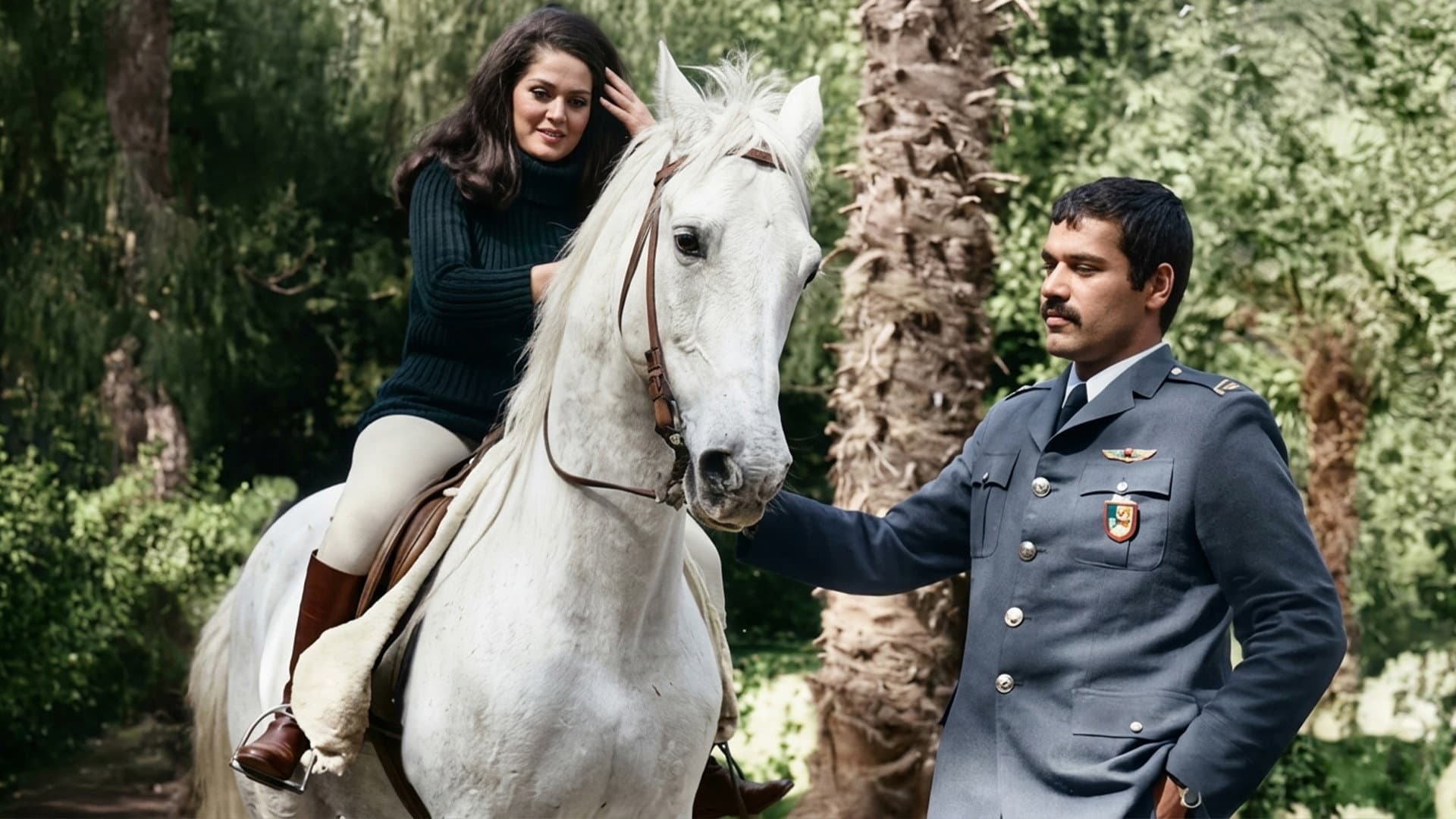 Merhamet