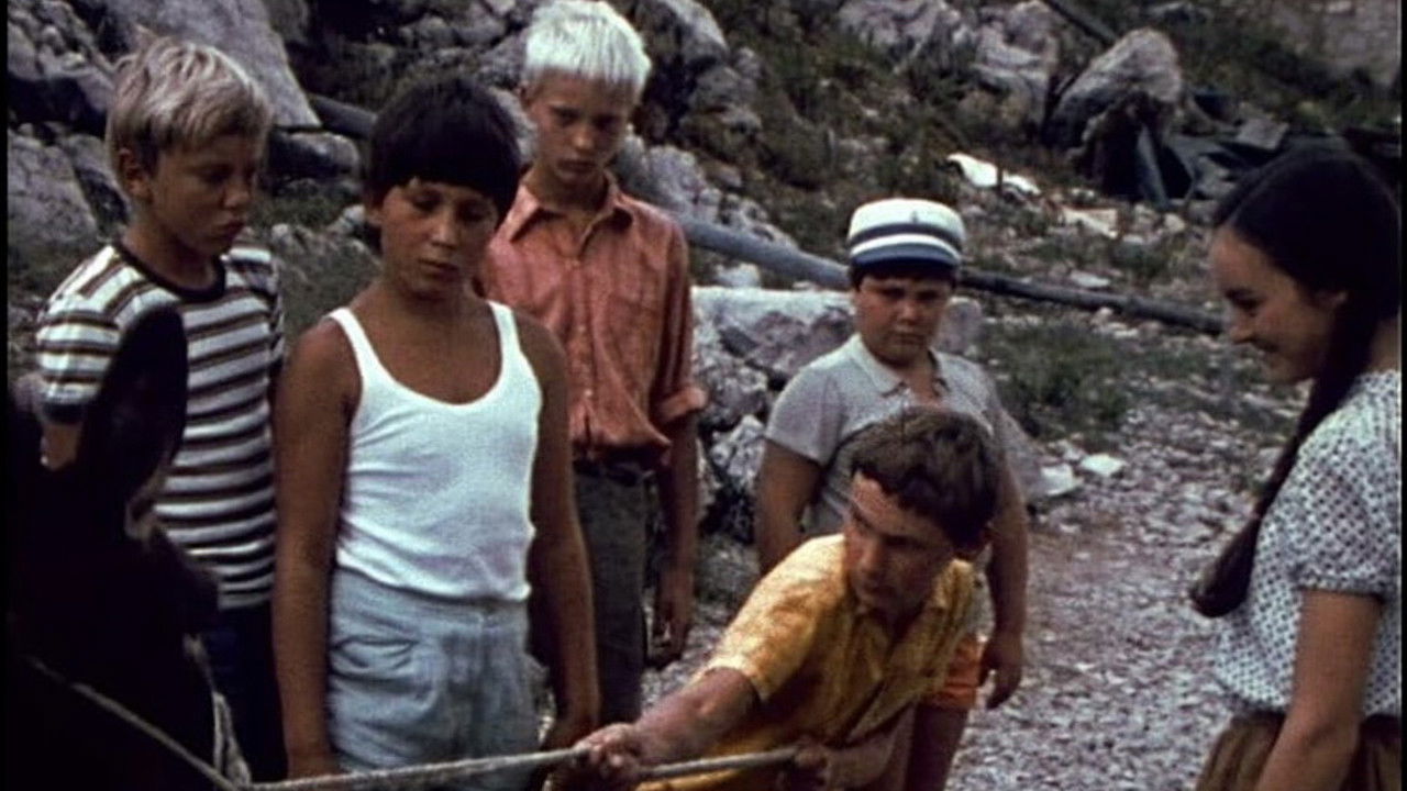 Sinji Galeb – Die blaue Möwe