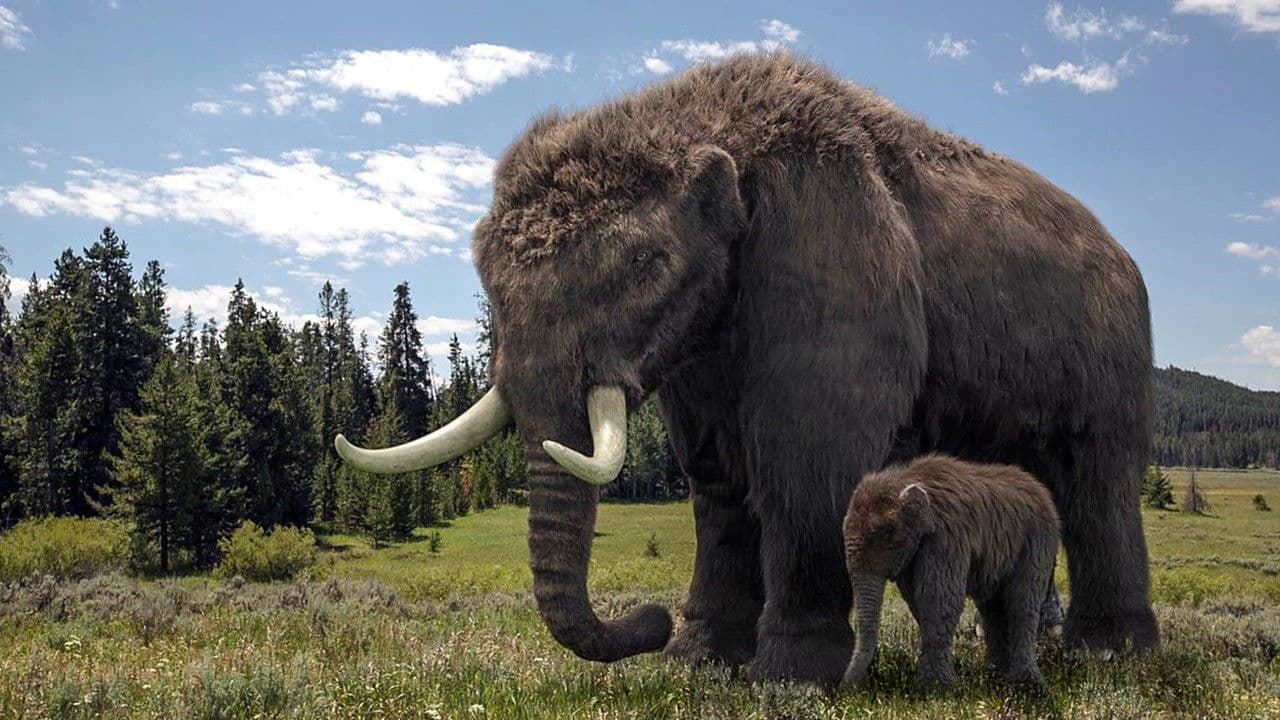 Ice Age - Giganten der Eiszeit