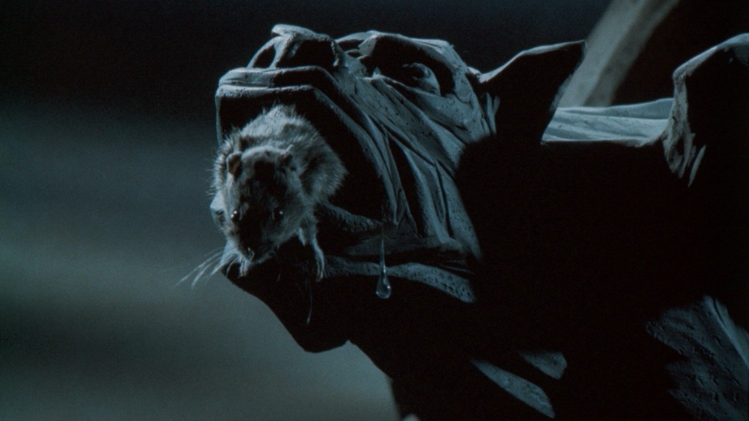 Der Rattenfänger von Hameln