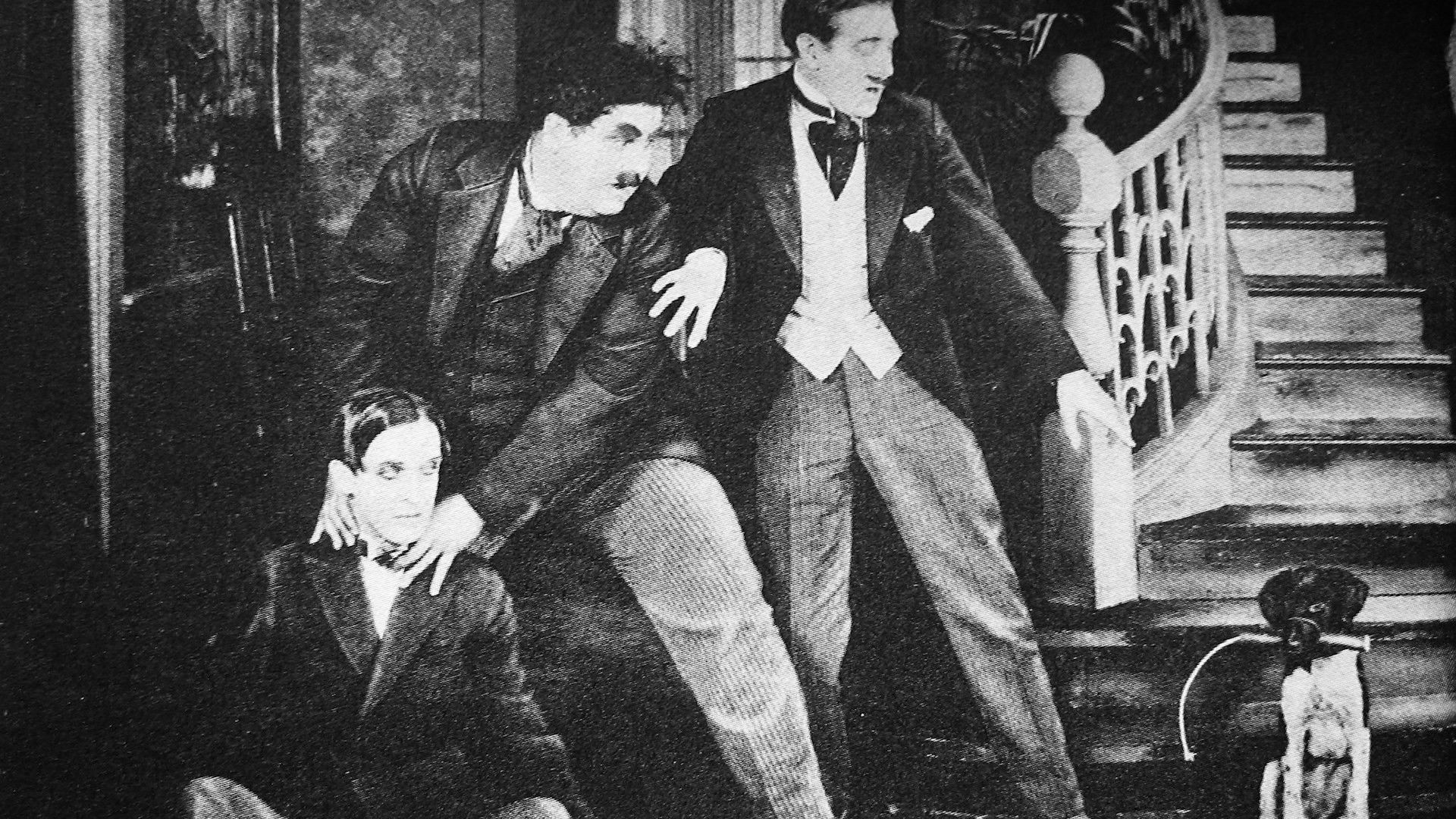 Der glückliche Hund