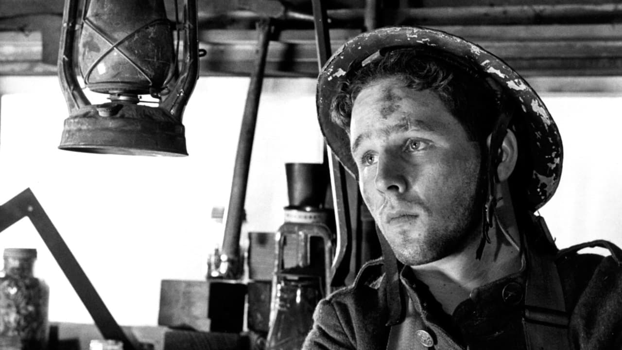 Johnny zieht in den Krieg