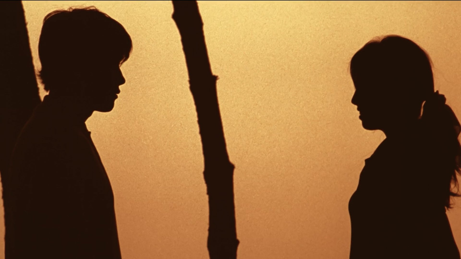 번지점프를 하다