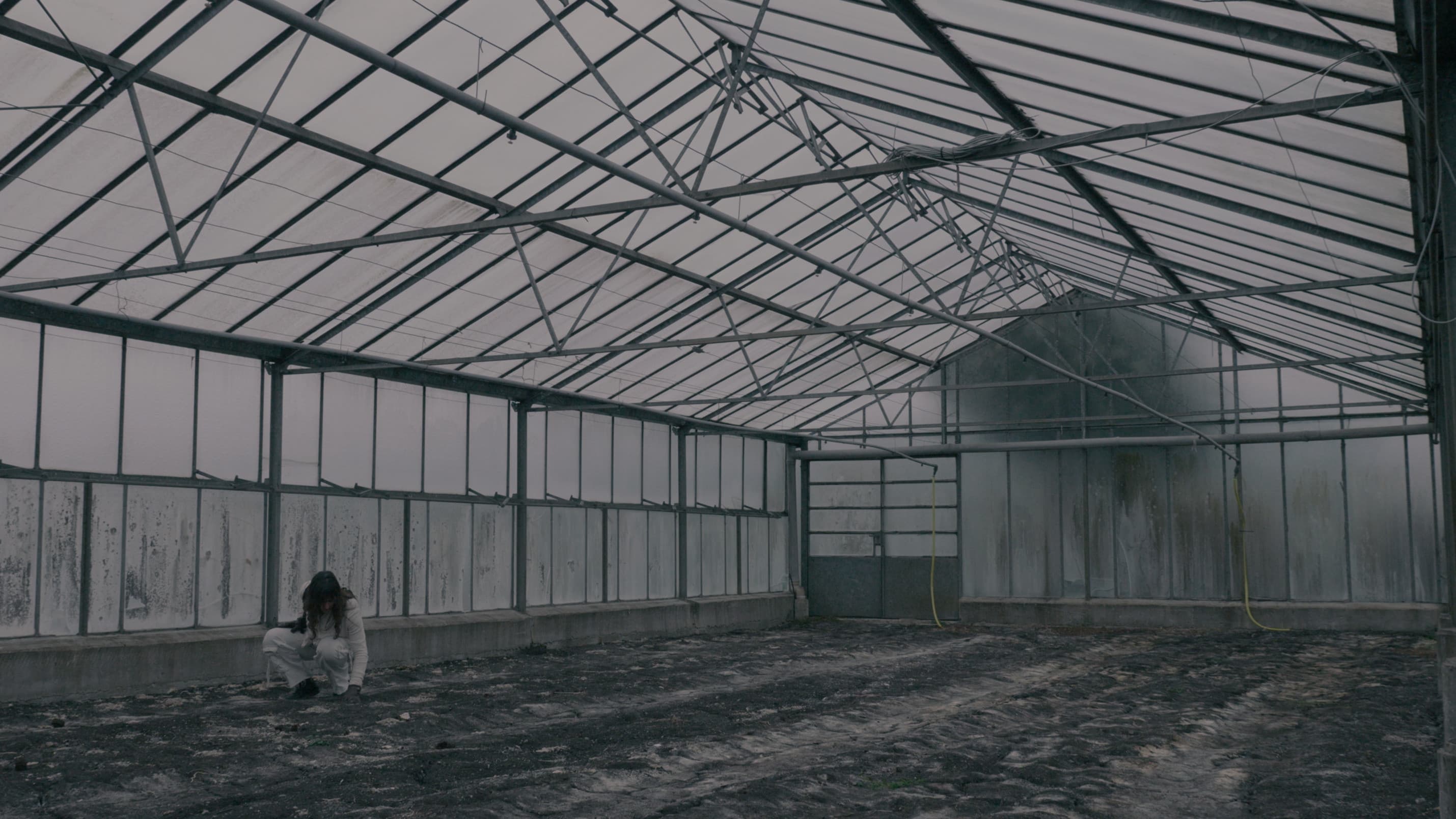 BLOOM - A Dystopian Short Film