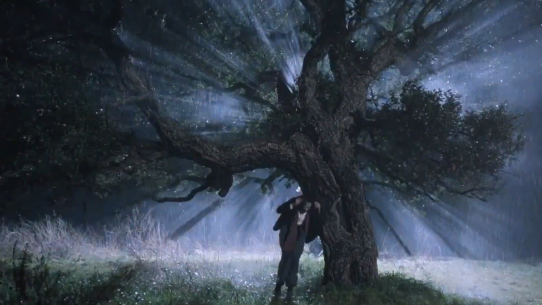 Die Stimme des Mondes