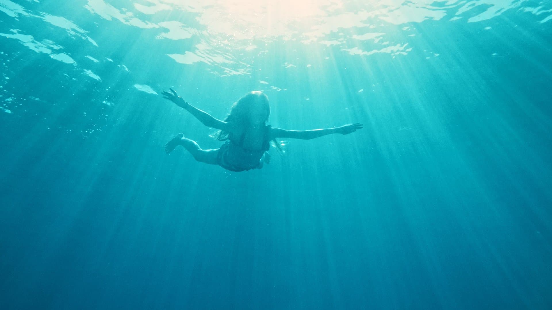 Der Sommer, als ich fliegen lernte